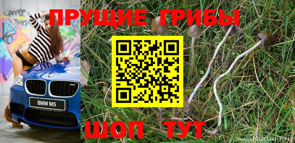 Брянск  Псилоцибиновые грибы ЛСД  Псилоцибиновые грибы Psilocybine cubensis  Вход с VPN 